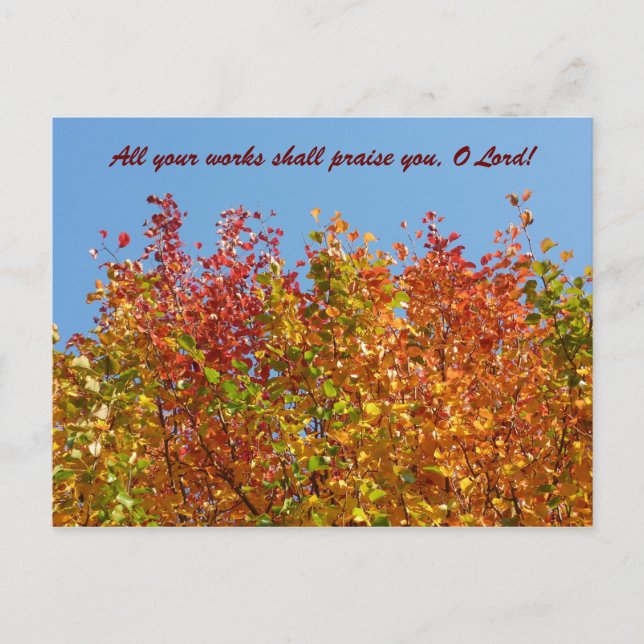 Hösten färg 4 vykort (Framsida)