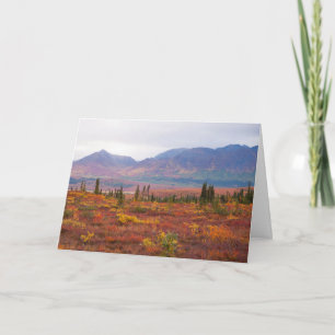 Hösten Färg i Denalis nationalpark, Alaska Kort