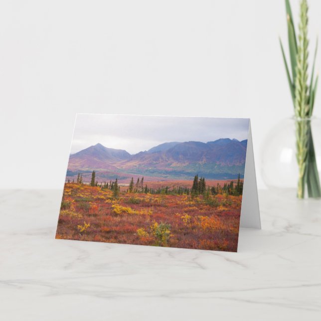 Hösten Färg i Denalis nationalpark, Alaska Kort (Framsida)
