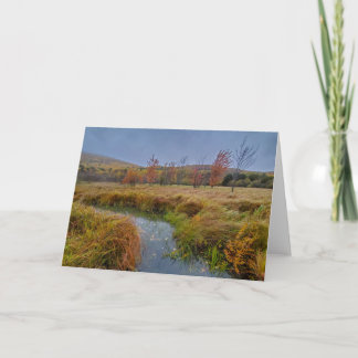 Hösten färg i nationalparken Acadia Kort