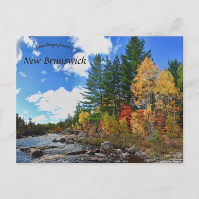 Hösten Färg i New Brunswick Kanada Vykort (Framsida)