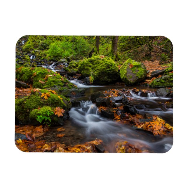 Hösten färg längs Starten Bäck Falls Magnet (Horisontell)