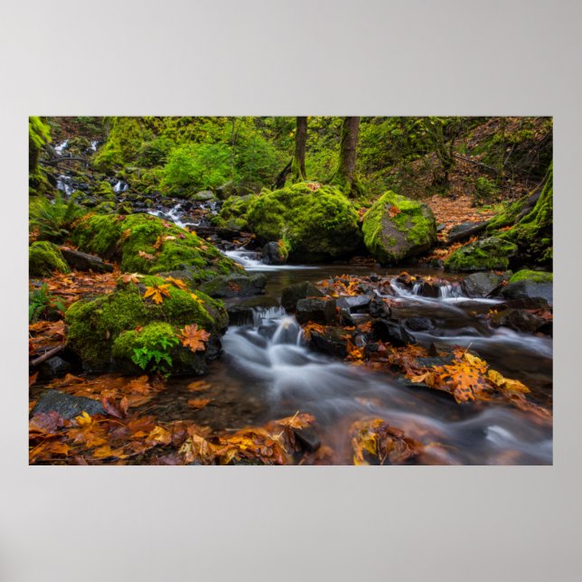 Hösten färg längs Starten Bäck Falls Poster (Framsidan)