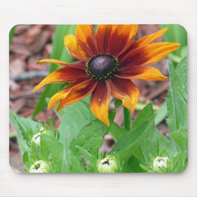 Hösten Färg Musmatta (Framsidan)