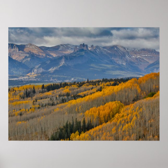 Hösten Färg på Aspen Groves Poster (Framsidan)