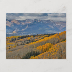 Hösten Färg på Aspen Groves Vykort