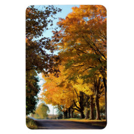 Hösten Färg på Land Road Magnet