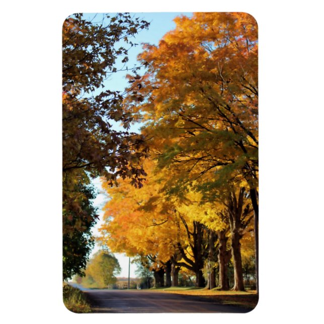 Hösten Färg på Land Road Magnet (Vertikal)