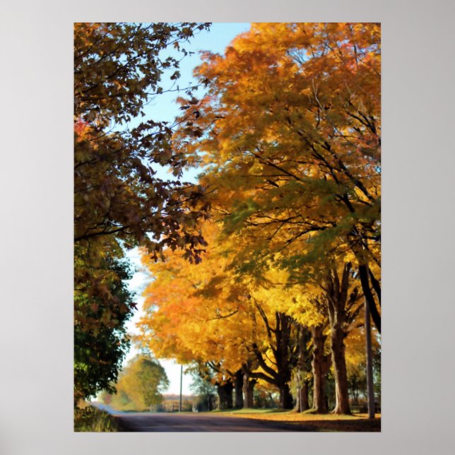 Hösten Färg på Land Road Poster (Framsidan)