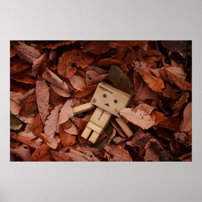 Hösten Färg Poster (Framsidan)