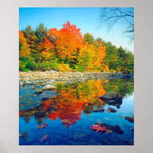 Hösten Färg reflekterar i en ström i Vermont Poster