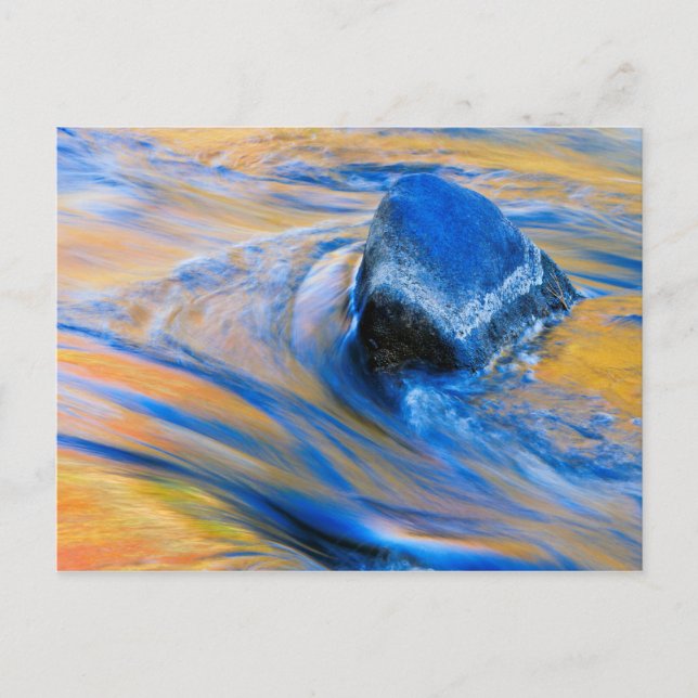 Hösten Färg Vatten Abstrakt Vykort (Framsida)