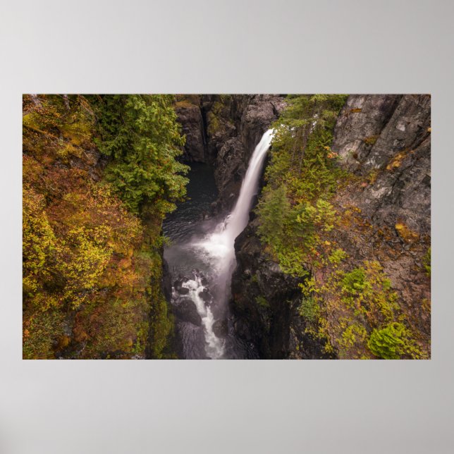 Hösten Färg vid Elk Falls Poster (Framsidan)