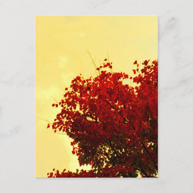 Hösten Färg Vykort (Framsida)