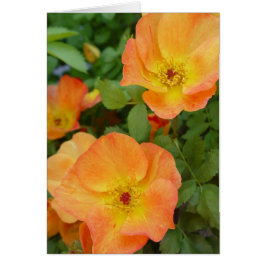 Hösten flammar rokortet hälsningskort