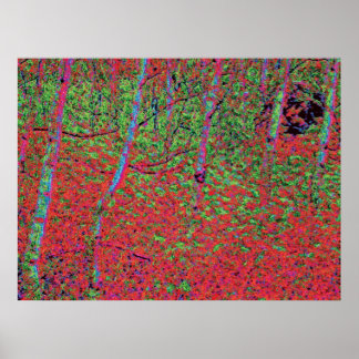 Hösten Foliage d5 Poster