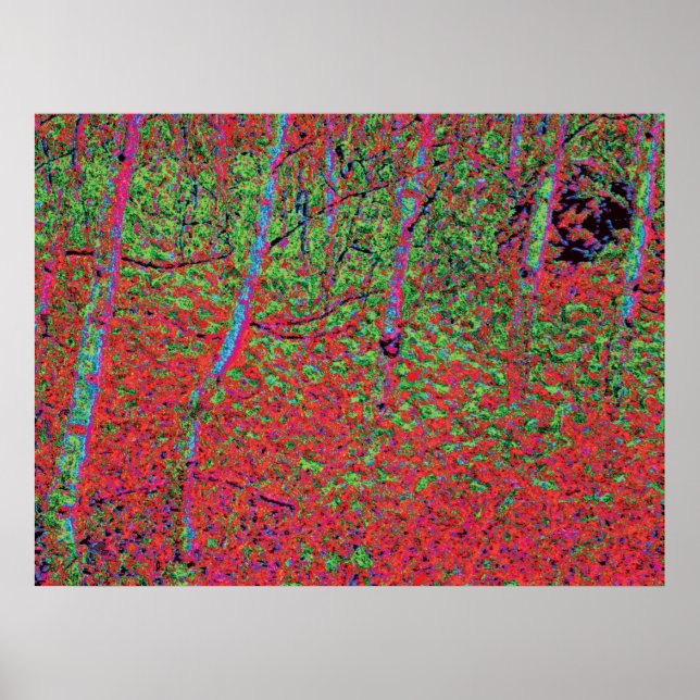 Hösten Foliage d5 Poster (Framsidan)