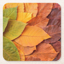 Hösten Foliage Underlägg: Naturens Touch