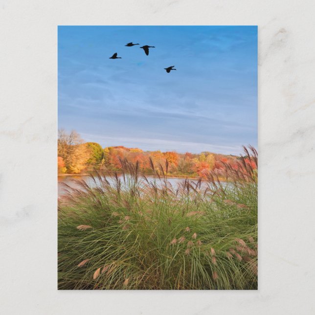 Hösten för målad anslutning vykort (Framsida)