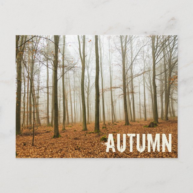 Hösten Forest Mist och Fog Fall Season-gåva Helg Vykort (Framsida)