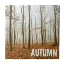 Hösten Forest Mist och Fog Fall Season-gåva