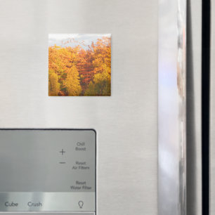 Hösten ger tro över rädsla magnet