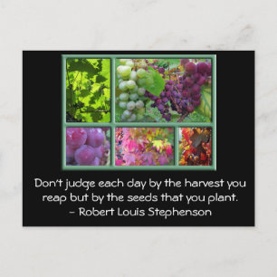 Hösten Grape Harvest Collage with Quote. Vykort