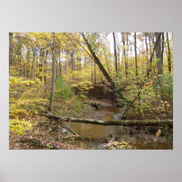 Hösten Gult Träd vid Stream Poster