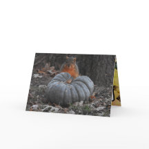 Hösten Hälsning | Funny ekorre Eating Pumpkin