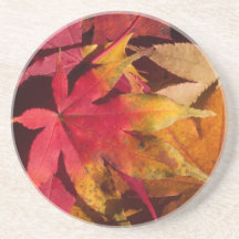 Hösten Höst löv Orange och gyllene