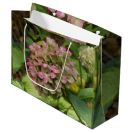 Hösten Hydrangea Bloom med Golden Hosta Löv