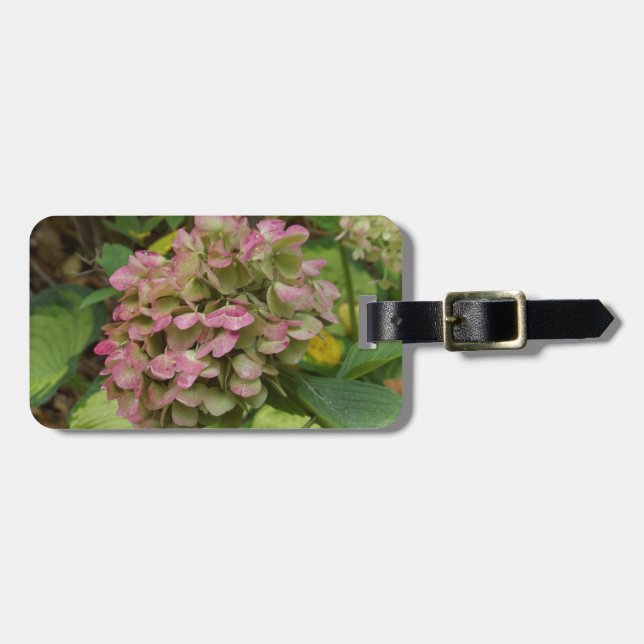 Hösten Hydrangea Bloom med Golden Hosta Löv Bagagebricka (Horisontell Framsida)