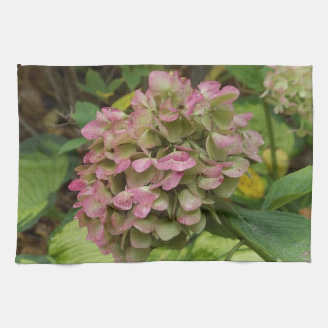 Hösten Hydrangea Bloom med Golden Hosta Löv Kökshandduk (Horisontell)