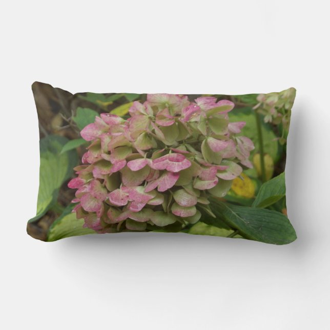 Hösten Hydrangea Bloom med Golden Hosta Löv Lumbarkudde (Framsida)
