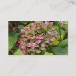 Hösten Hydrangea Bloom med Golden Hosta Löv Visitkort