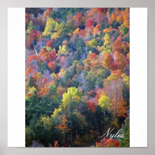 Hösten i Adirondacks Poster
