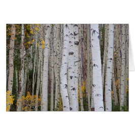 Hösten i Aspen Hälsningskort