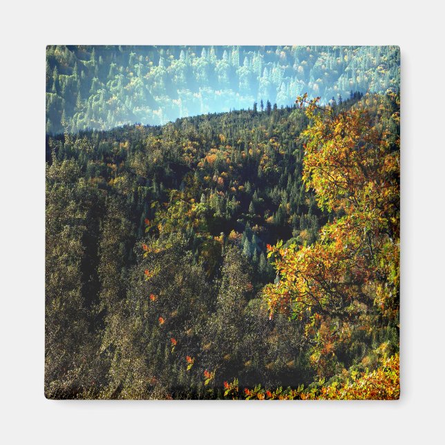 Hösten i bergen... magnet (Framsidan)