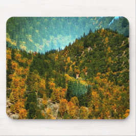 Hösten i bergen.... musmatta