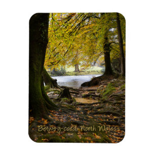 Hösten i Betws-y-coed, North Wales Magnet