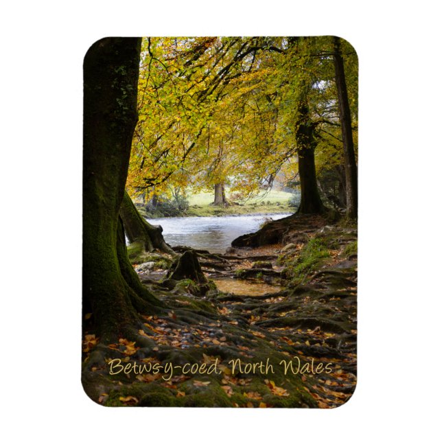 Hösten i Betws-y-coed, North Wales Magnet (Vertikal)