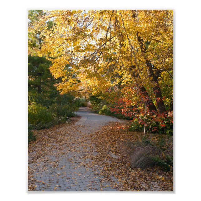 Hösten i Botanical Garden i Madison Fototryck (Framsidan)
