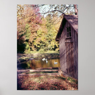 Hösten i Bronte Bäck Poster