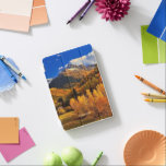Hösten i Colorado iPad Mini Skydd<br><div class="desc">Snygg färg från hösten i Colorado.</div>