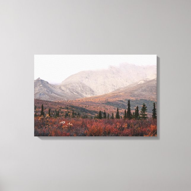Hösten i Denali Canvastryck (Framsida)