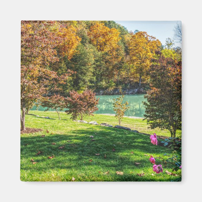 Hösten i Dogwood Magnet (Framsidan)