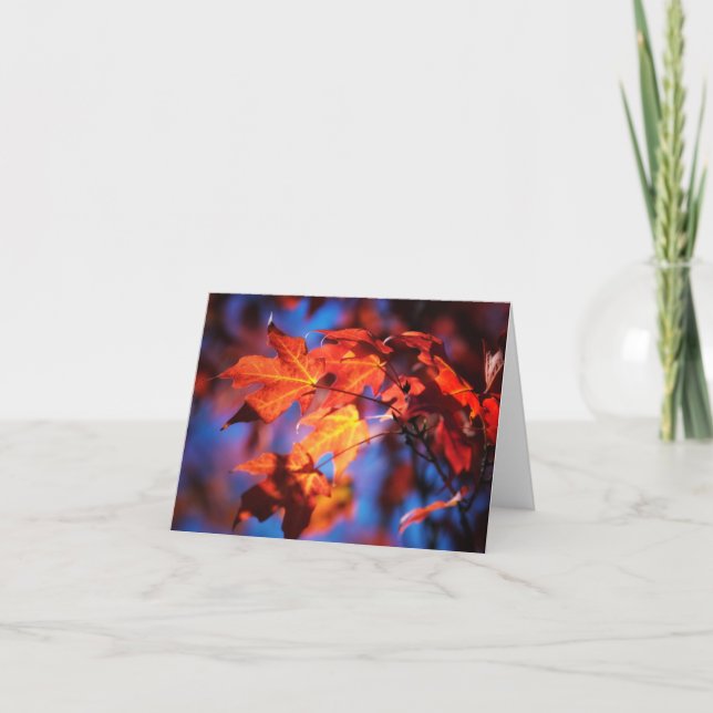 Hösten i Iowa noterar kortet Kort (Framsida)