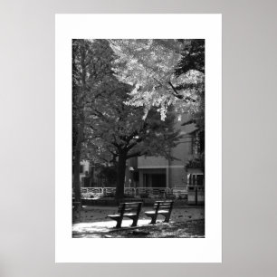 Hösten i Kiyosumi Park: Tokyo Poster