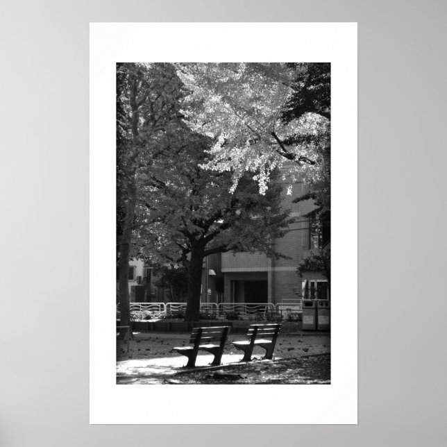 Hösten i Kiyosumi Park: Tokyo Poster (Framsidan)