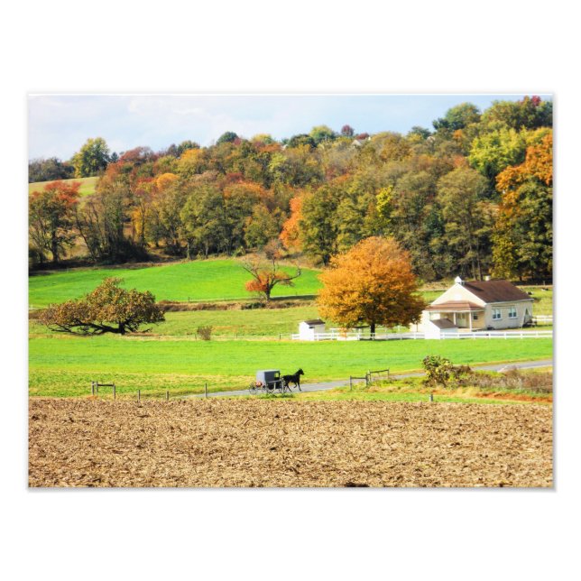 Hösten i Lancaster County, PA Fototryck (Framsidan)